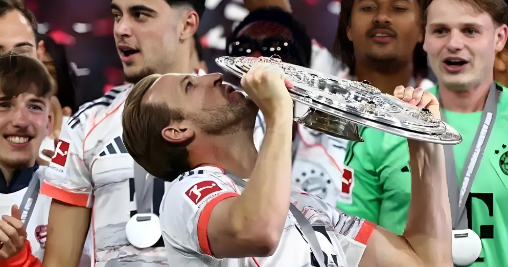 登頂歐聯(lián)杯！熱刺1-0擊敗曼聯(lián)奪得冠軍！